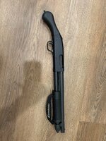 IMG_0383.jpeg