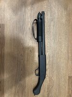 IMG_0384.jpeg