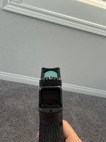 IMG_3195.jpeg