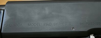 IMG_2984.jpeg