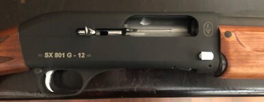 IMG_2477.jpeg