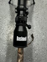 IMG_4933.jpeg