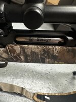 IMG_4934.jpeg