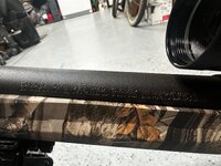 IMG_4935.jpeg