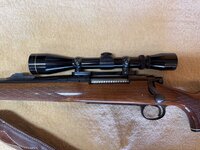 IMG_1155.jpeg
