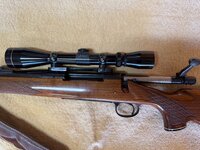 IMG_1156.jpeg