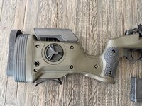 IMG_3336.jpeg