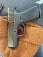 IMG_4091.jpeg IMG_4091.jpeg