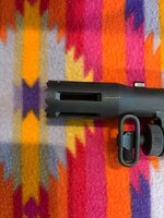IMG_2891.jpeg