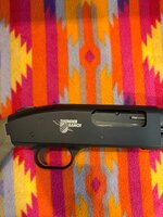 IMG_2892.jpeg