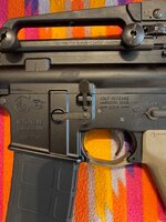 IMG_2888.jpeg