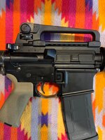 IMG_2889.jpeg