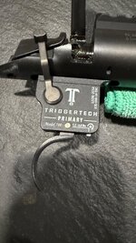 IMG_3464.jpeg