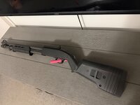 IMG_8382.jpeg IMG_8382.jpeg