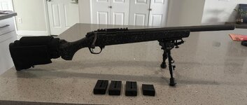 IMG_2920.jpeg