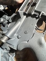 IMG_9210.jpeg