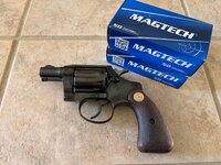 IMG_3101.jpeg