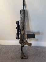 IMG_4733.jpeg IMG_4733.jpeg