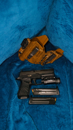 Sig 1.png