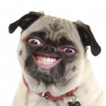 IMG_20191014_193605_725.jpg IMG_20191014_193605_725.jpg