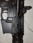 20200904_055239.jpg