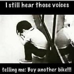 voice.jpg
