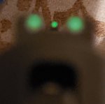 20201214_131608.jpg 20201214_131608.jpg