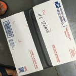 BE9455ED-8824-4567-B3B8-7DE9EDC9A889.jpeg BE9455ED-8824-4567-B3B8-7DE9EDC9A889.jpeg