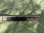 marine3.jpg