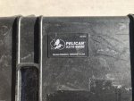 Pelican1.jpg