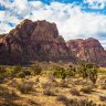 Red Rock Auctions