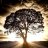 TheOAK07